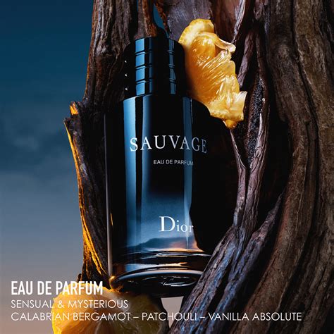 dior sauvage eau de parfum for men - 200 ml|sauvage dior 100ml price.